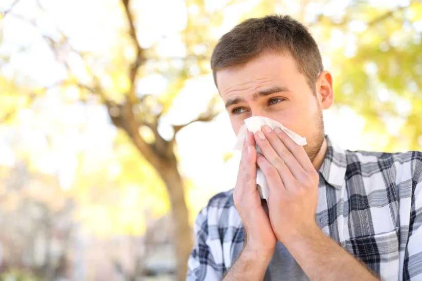 Summer Colds vs. Allergies