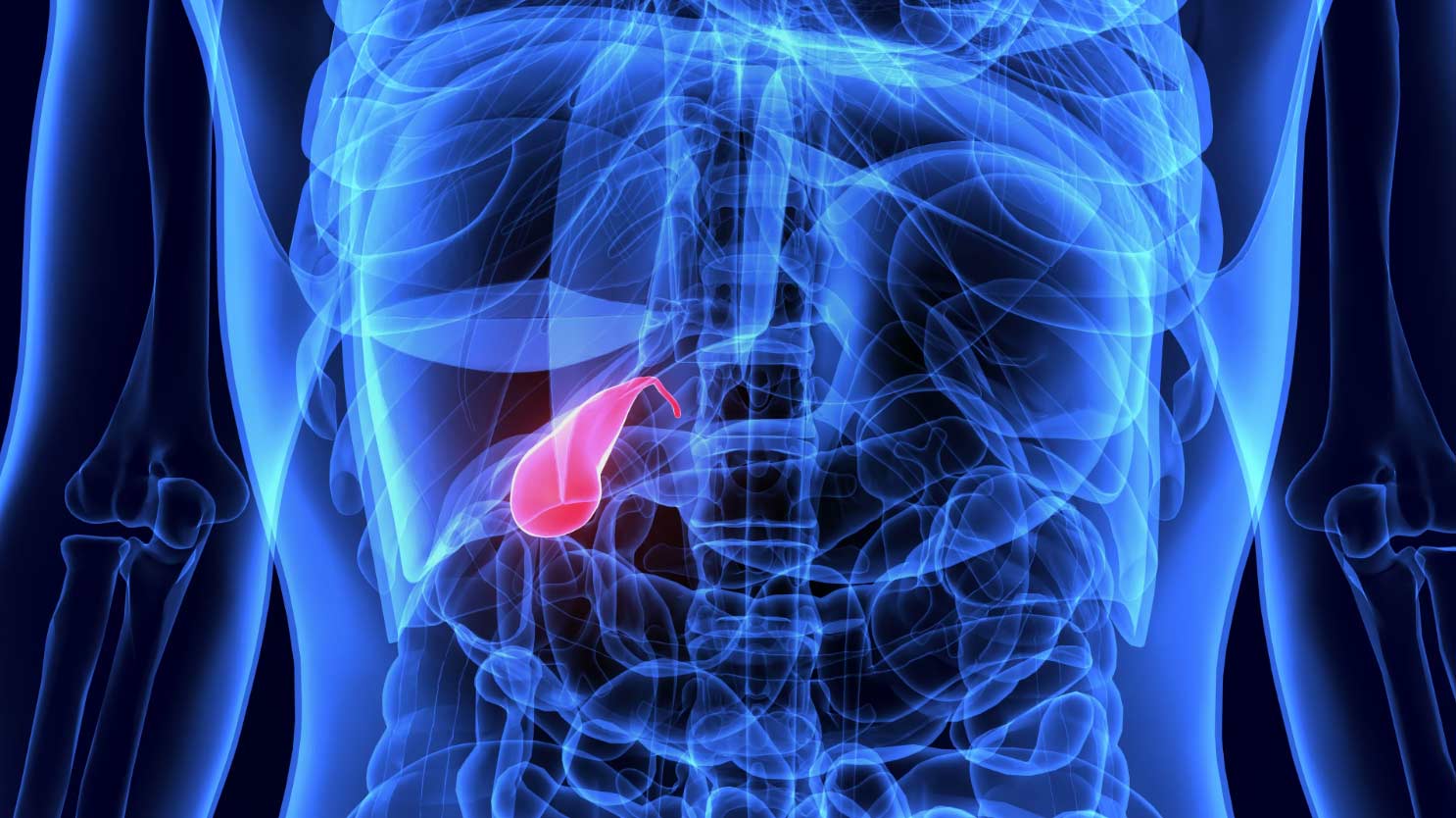 The Importance of Gallbladder Health